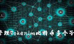 如何管理Tokenim比特币多个子地址？