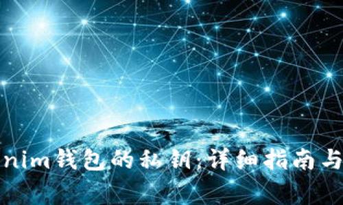 如何找回Tokenim钱包的私钥：详细指南与常见问题解答