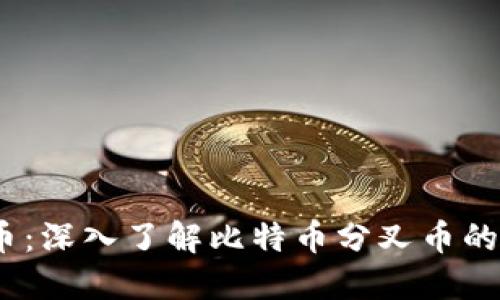 BTCD虚拟币：深入了解比特币分叉币的起源与未来