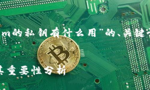 下面是您请求的关于“tokenim的私钥有什么用”的、关键词、大纲以及相关问题的内容。


tokenim的私钥有什么用及其重要性分析