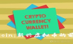 探索ApeCoin：新兴虚拟币的前景与挑战