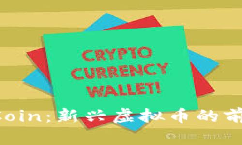 探索ApeCoin：新兴虚拟币的前景与挑战