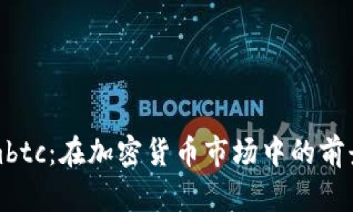 Tokenimbtc：在加密货币市场中的前景与挑战