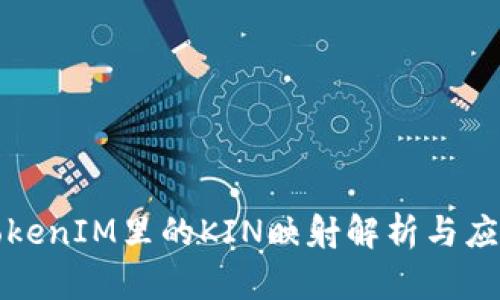 TokenIM里的KIN映射解析与应用