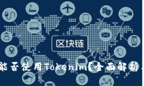目前国内能否使用Tokenim?全面解析与用户指南