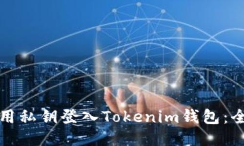 如何使用私钥登入Tokenim钱包：全面指南